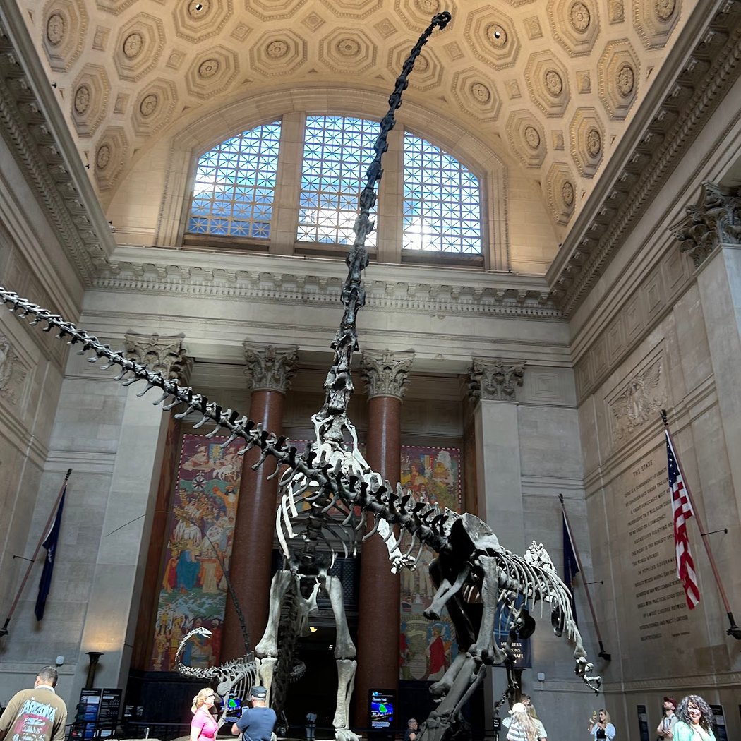 Museo de Historia de la ciudad de NY 1